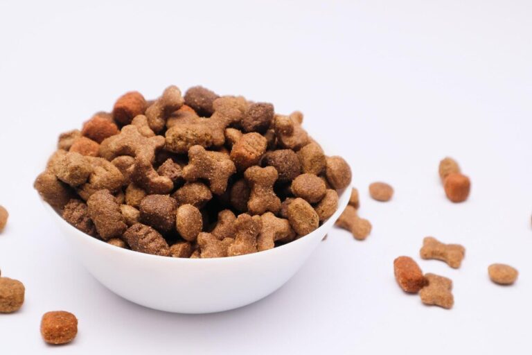 karma-orijen-dla-psa---przewodnik-po-rodzajach-i-opinie-1