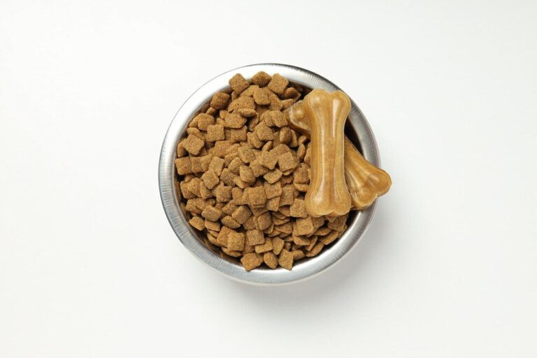 najlepsza-sucha-karma-dla-szczeniaka-ranking-top-10-1