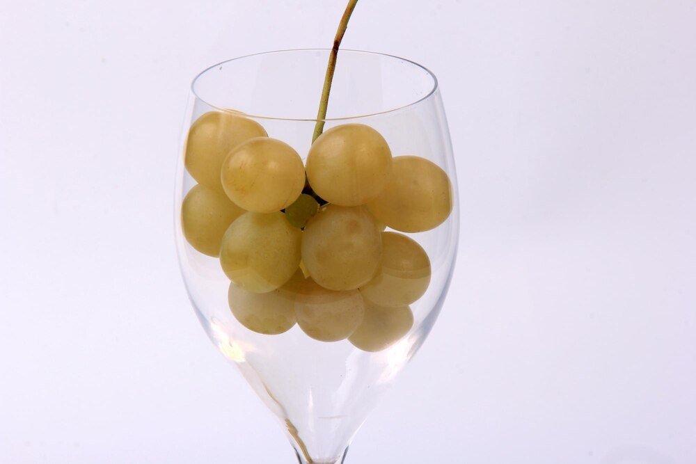 przepis-na-domowe-wino-z-bialych-winogron---krok-po-kroku-1