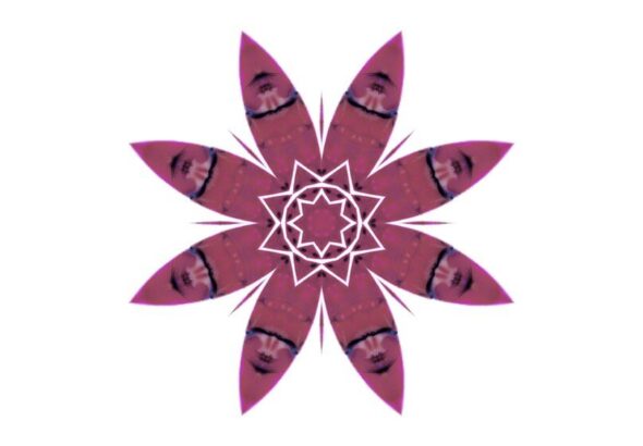 symbolika-kwiatow-odkryj-znaczenie-najpopularniejszych-kwiatow-1