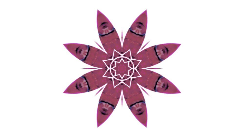 symbolika-kwiatow-odkryj-znaczenie-najpopularniejszych-kwiatow-1